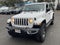 2019 Jeep Wrangler Unlimited Sahara 4x4