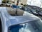 2024 Nissan Frontier Crew Cab PRO-4X 4x4